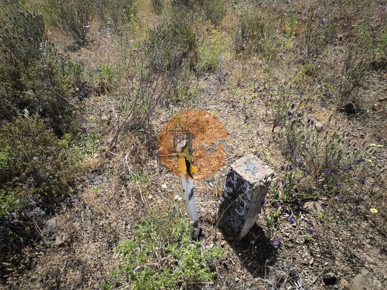 Plot for Sale in Castro Marim, Castro Marim, Portugal 6