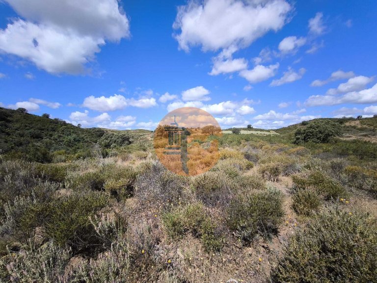 Plot for Sale in Castro Marim, Castro Marim, Portugal 9