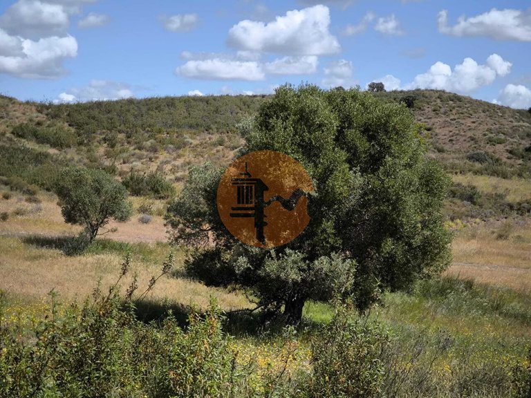 Plot for Sale in Castro Marim, Castro Marim, Portugal 18