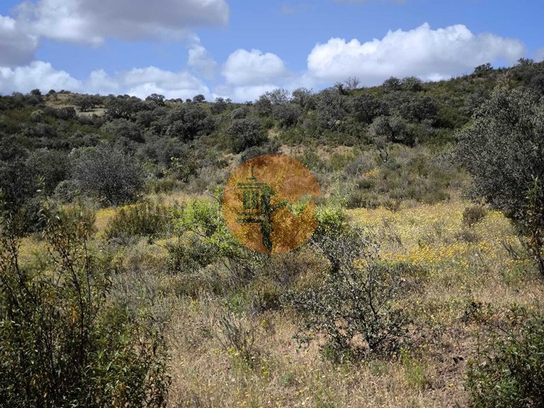 Plot for Sale in Castro Marim, Castro Marim, Portugal 22