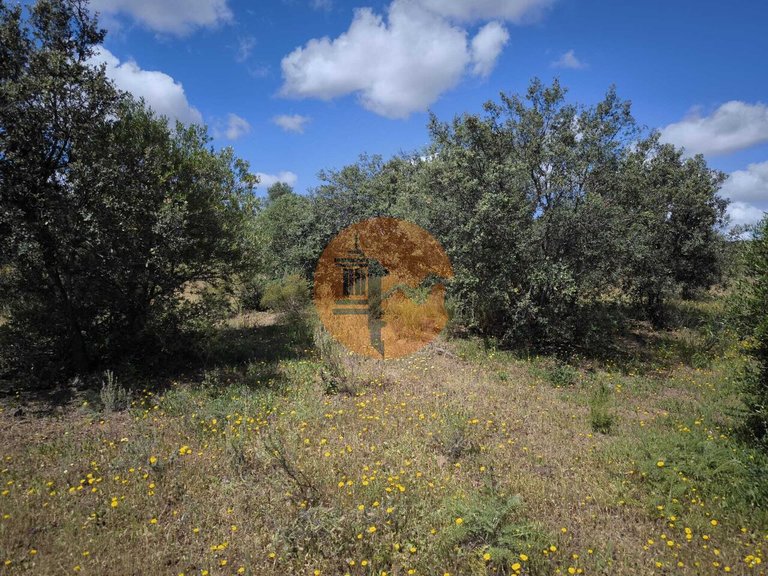 Plot for Sale in Castro Marim, Castro Marim, Portugal 26