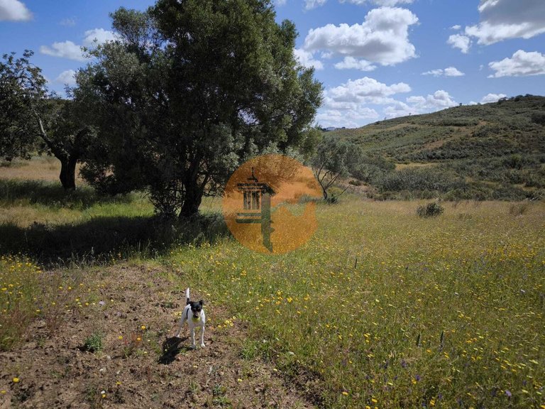Plot for Sale in Castro Marim, Castro Marim, Portugal 3