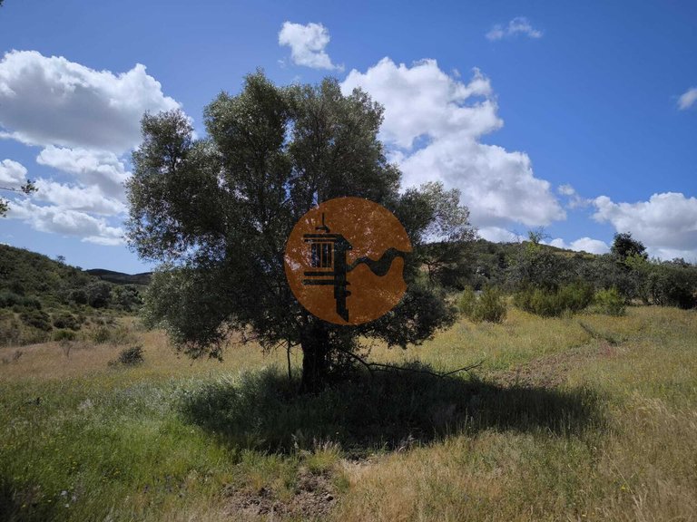 Plot for Sale in Castro Marim, Castro Marim, Portugal 29