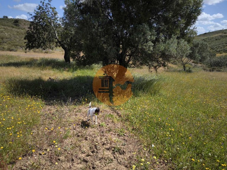 Plot for Sale in Castro Marim, Castro Marim, Portugal 33