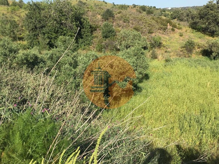 Plot for Sale in Azinhal, Castro Marim, Portugal 1