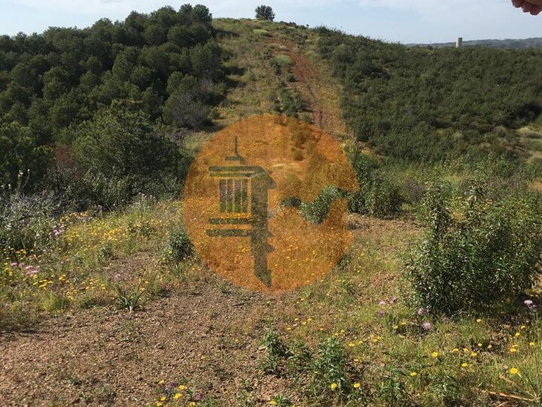 Plot for Sale in Azinhal, Castro Marim, Portugal 4