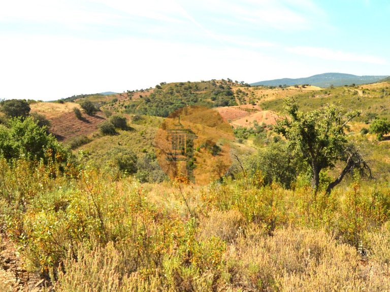 Plot for Sale in Santa Catarina Da Fonte Do Bispo, Tavira, Portugal 4
