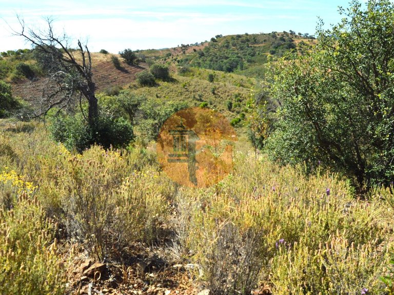 Plot for Sale in Santa Catarina Da Fonte Do Bispo, Tavira, Portugal 16