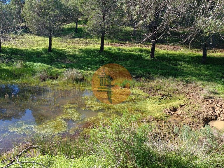 Country House for Sale in Castro Marim, Castro Marim, Portugal 13