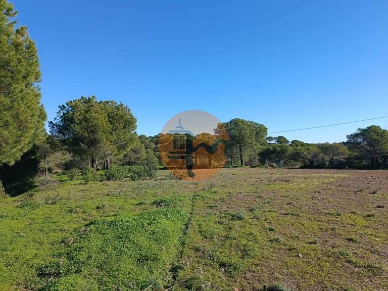 Country House for Sale in Castro Marim, Castro Marim, Portugal 14