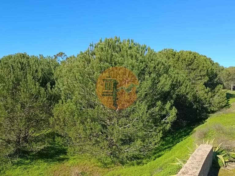 Country House for Sale in Castro Marim, Castro Marim, Portugal 46