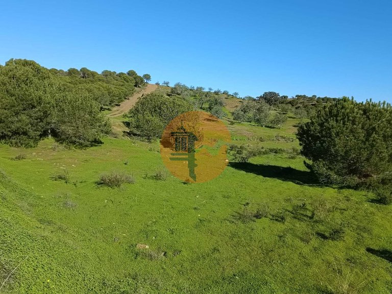 Country House for Sale in Castro Marim, Castro Marim, Portugal 41