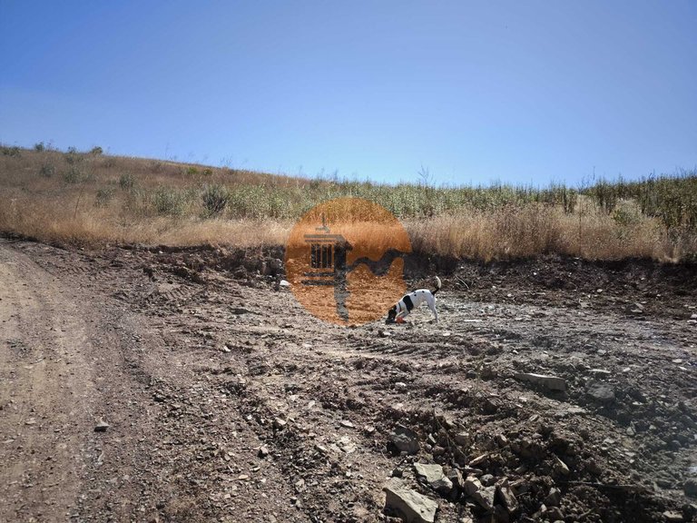 Plot for Sale in Castro Marim, Castro Marim, Portugal 5