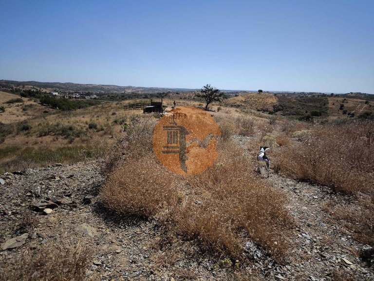 Plot for Sale in Castro Marim, Castro Marim, Portugal 11