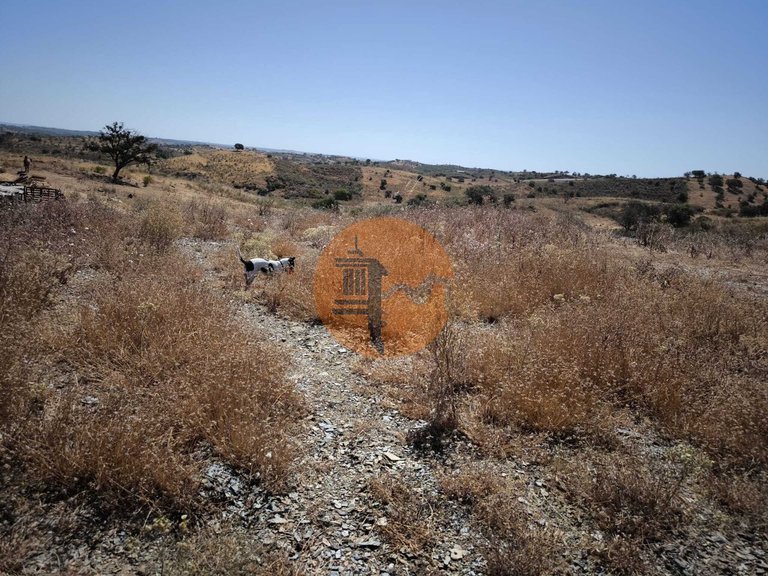 Plot for Sale in Castro Marim, Castro Marim, Portugal 17