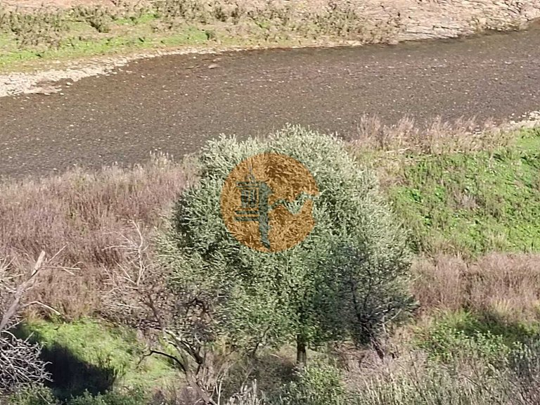 Plot for Sale in Azinhal, Castro Marim, Portugal 12