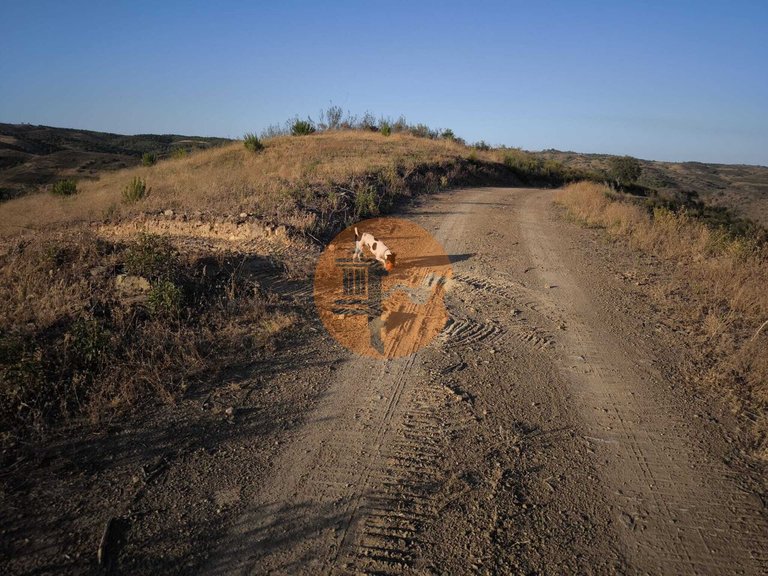 Plot for Sale in Azinhal, Castro Marim, Portugal 20