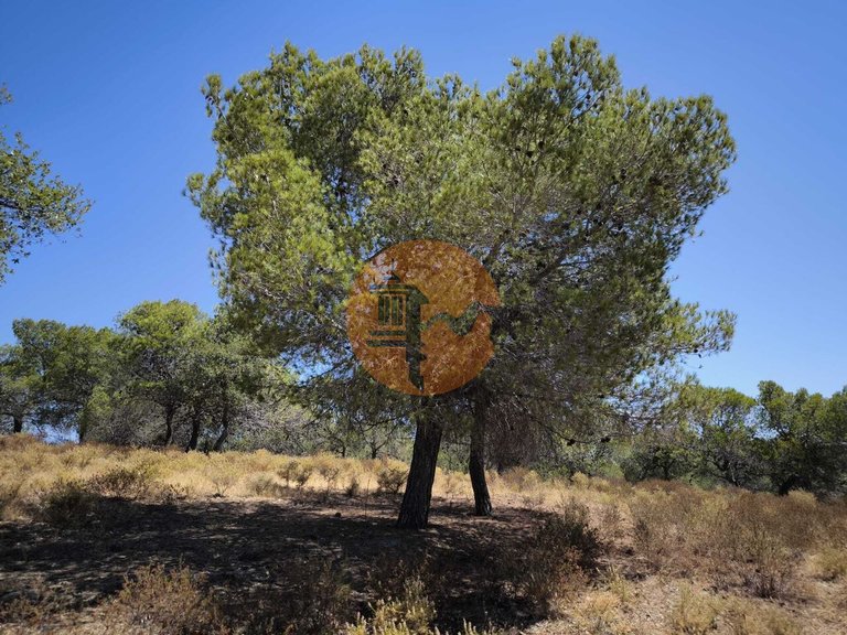 Plot for Sale in Castro Marim, Castro Marim, Portugal 1