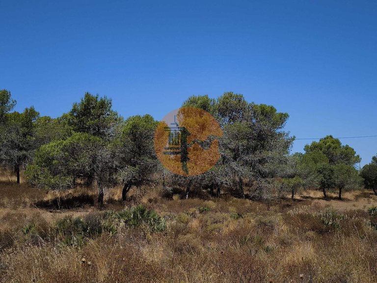 Plot for Sale in Castro Marim, Castro Marim, Portugal 5