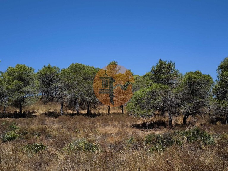 Plot for Sale in Castro Marim, Castro Marim, Portugal 8