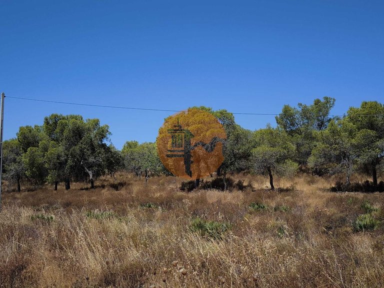 Plot for Sale in Castro Marim, Castro Marim, Portugal 10