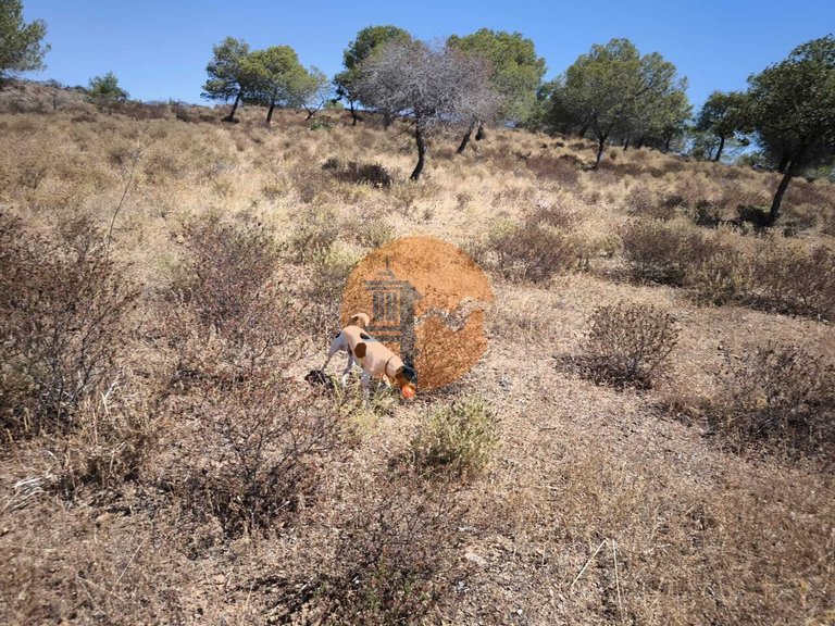 Plot for Sale in Castro Marim, Castro Marim, Portugal 15