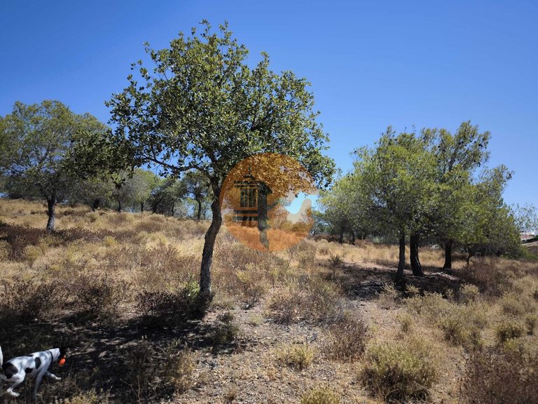 Plot for Sale in Castro Marim, Castro Marim, Portugal 16