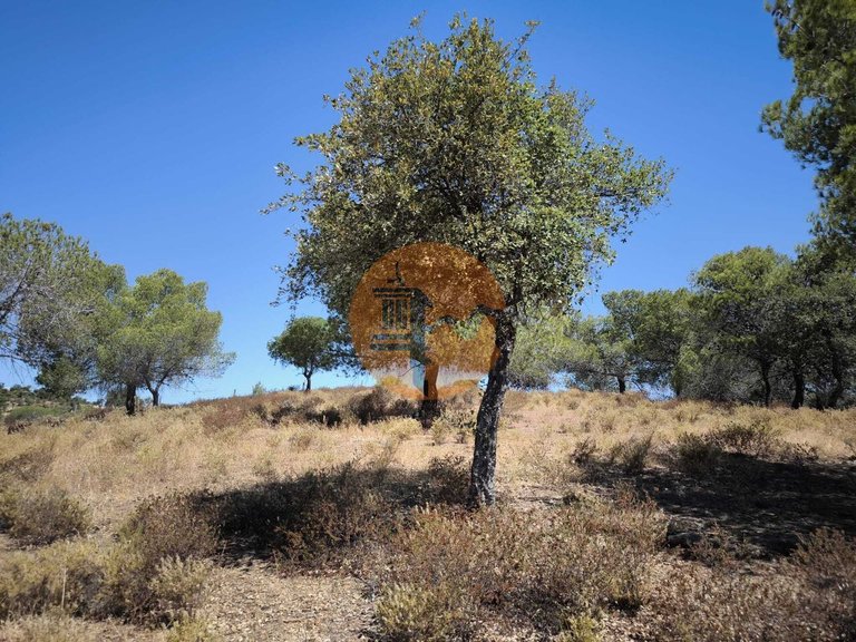 Plot for Sale in Castro Marim, Castro Marim, Portugal 20