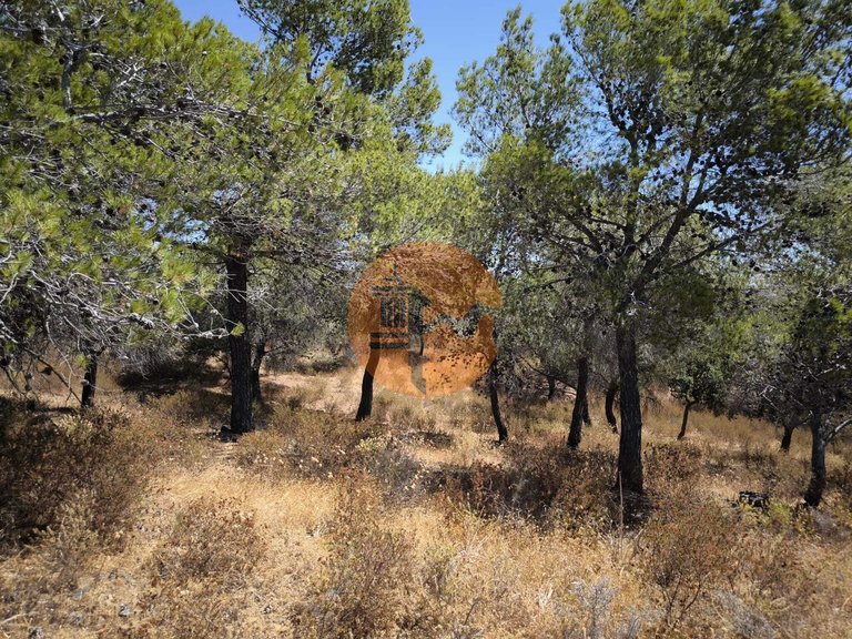 Plot for Sale in Castro Marim, Castro Marim, Portugal 21