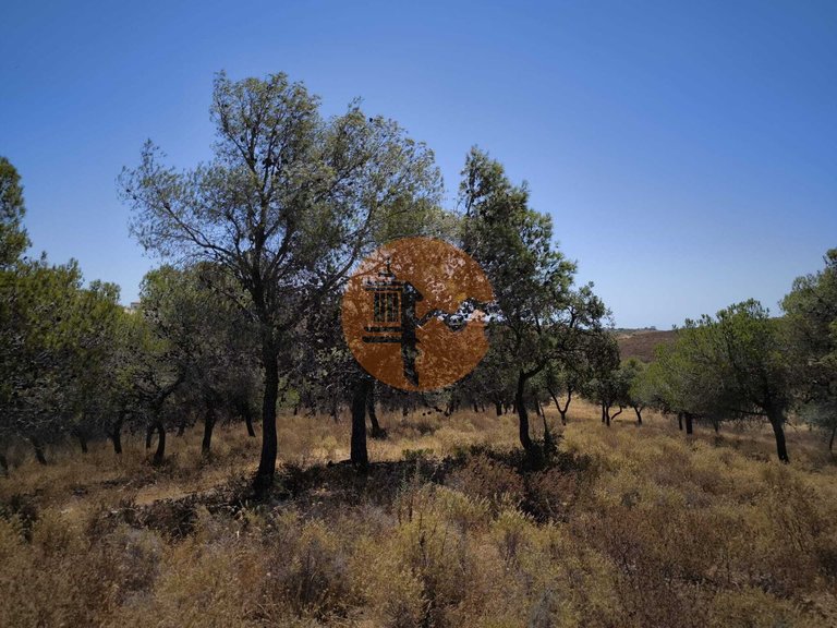 Plot for Sale in Castro Marim, Castro Marim, Portugal 22
