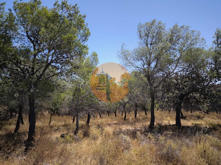 Plot for Sale in Castro Marim, Castro Marim, Portugal 24