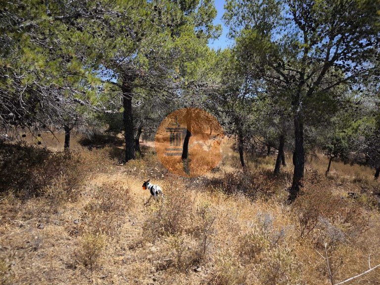 Plot for Sale in Castro Marim, Castro Marim, Portugal 25