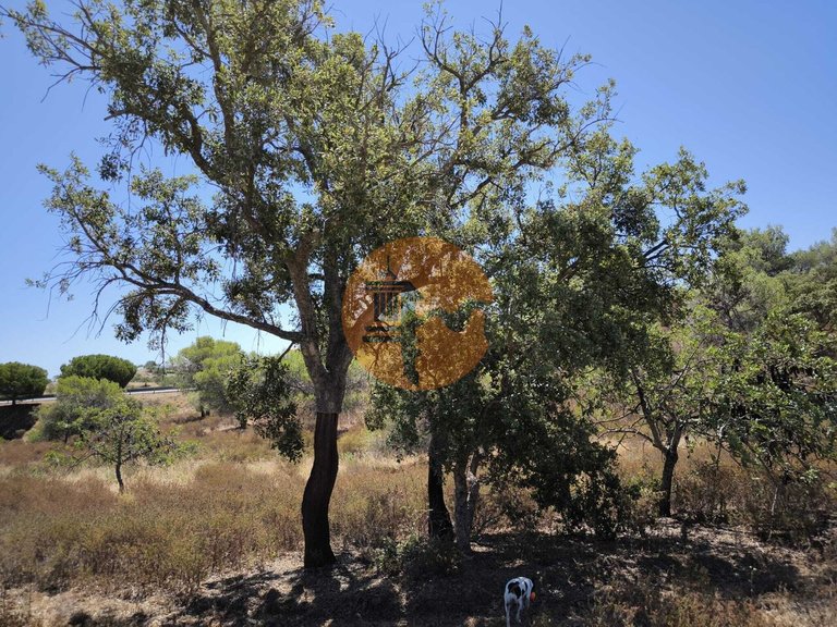 Plot for Sale in Castro Marim, Castro Marim, Portugal 18