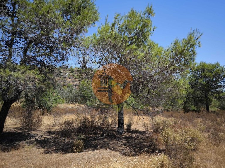 Plot for Sale in Castro Marim, Castro Marim, Portugal 20