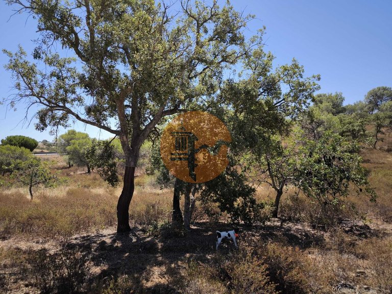 Plot for Sale in Castro Marim, Castro Marim, Portugal 21