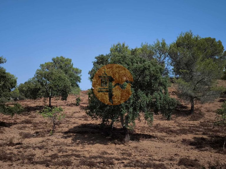 Plot for Sale in Castro Marim, Castro Marim, Portugal 10