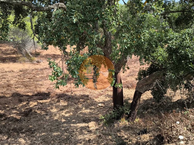 Plot for Sale in Castro Marim, Castro Marim, Portugal 24