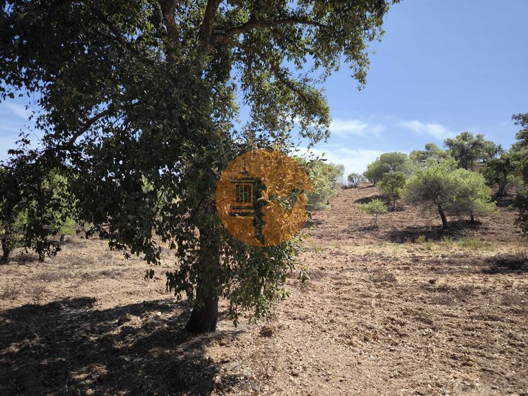 Plot for Sale in Castro Marim, Castro Marim, Portugal 4