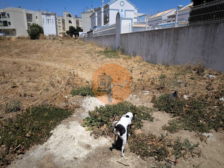 Plot for Sale in Vila Nova De Cacela, Vila Real De Santo António, Portugal 6