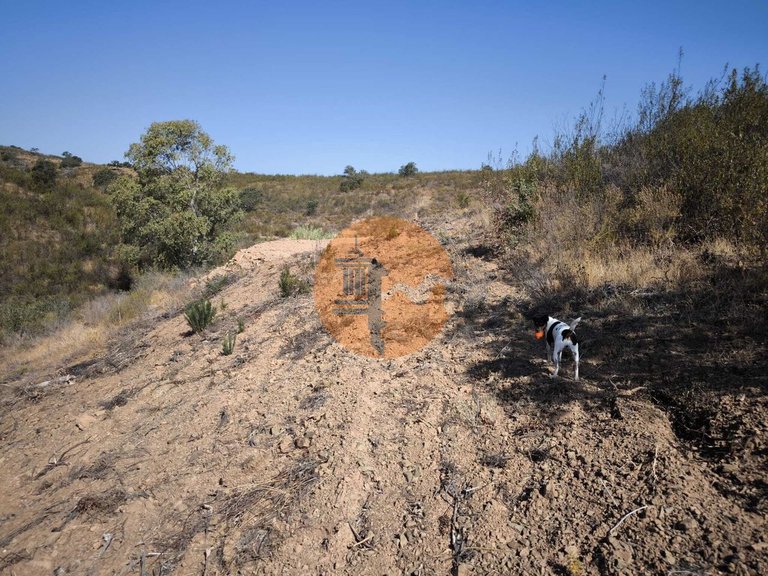 Plot for Sale in Azinhal, Castro Marim, Portugal 5