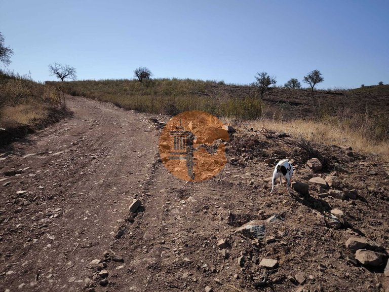 Plot for Sale in Azinhal, Castro Marim, Portugal 11