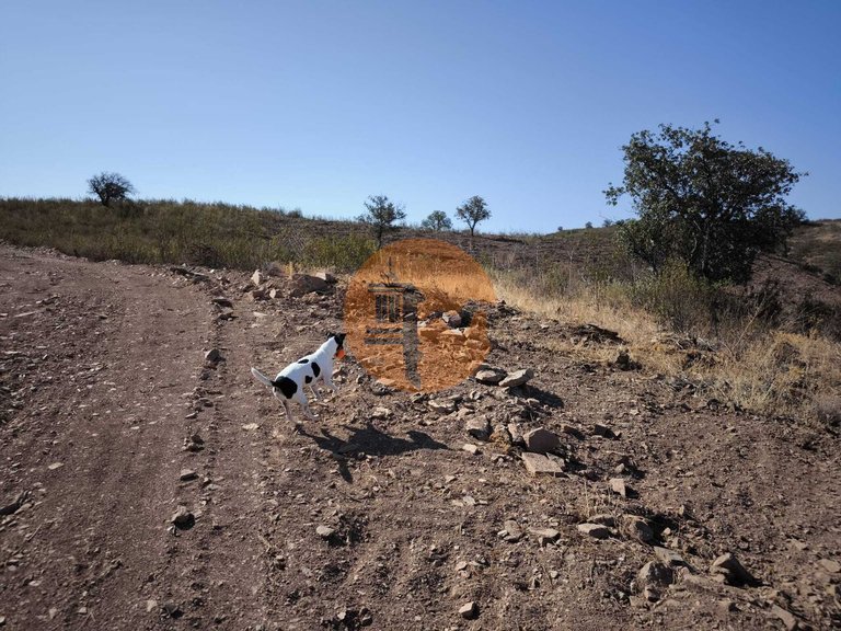 Plot for Sale in Azinhal, Castro Marim, Portugal 13