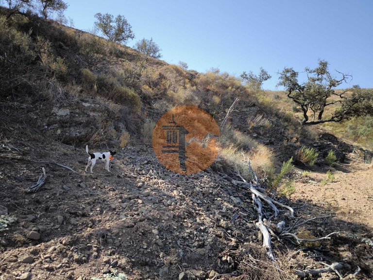 Plot for Sale in Azinhal, Castro Marim, Portugal 7