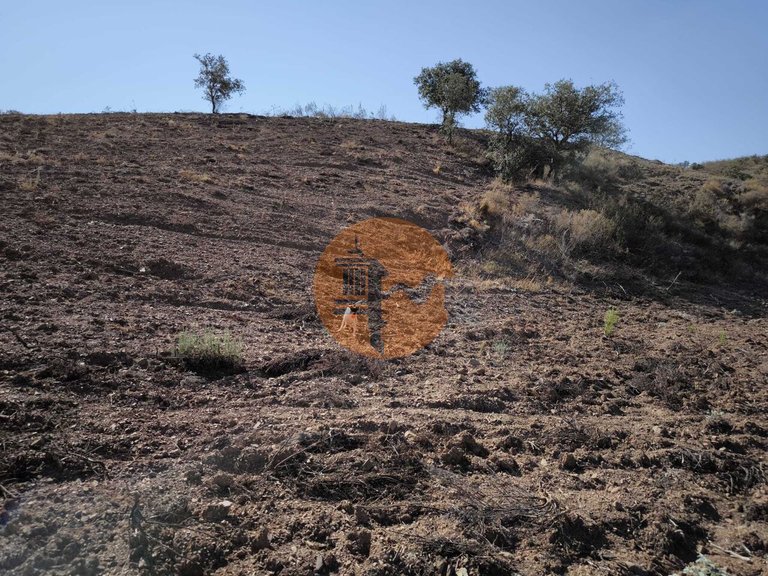 Plot for Sale in Azinhal, Castro Marim, Portugal 8