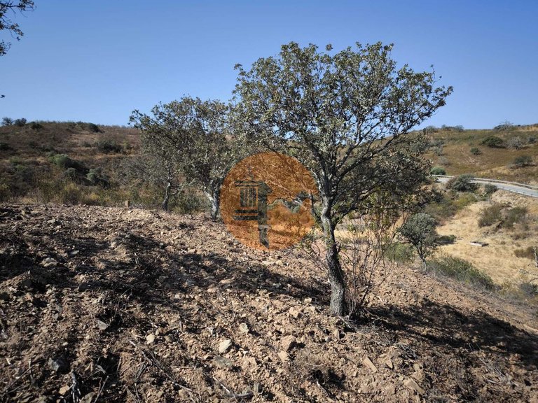 Plot for Sale in Azinhal, Castro Marim, Portugal 20