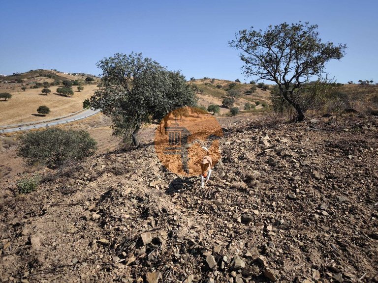 Plot for Sale in Azinhal, Castro Marim, Portugal 26