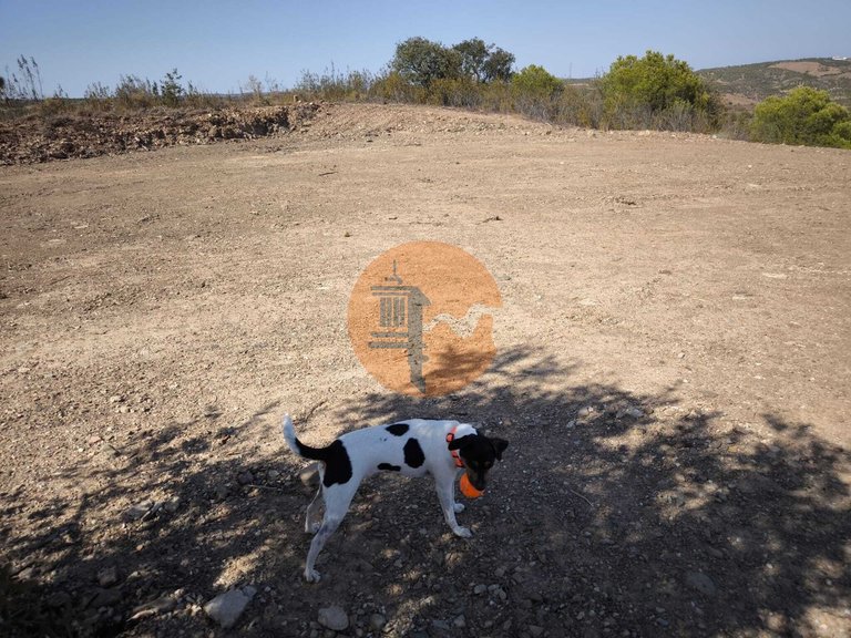 Plot for Sale in Azinhal, Castro Marim, Portugal 3