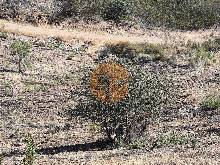 Plot for Sale in Azinhal, Castro Marim, Portugal 29