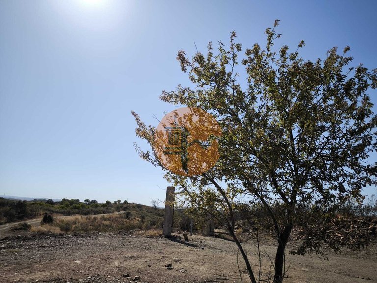 Plot for Sale in Azinhal, Castro Marim, Portugal 6