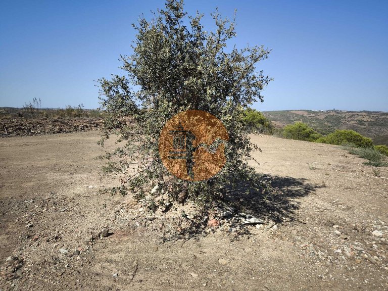 Plot for Sale in Azinhal, Castro Marim, Portugal 31